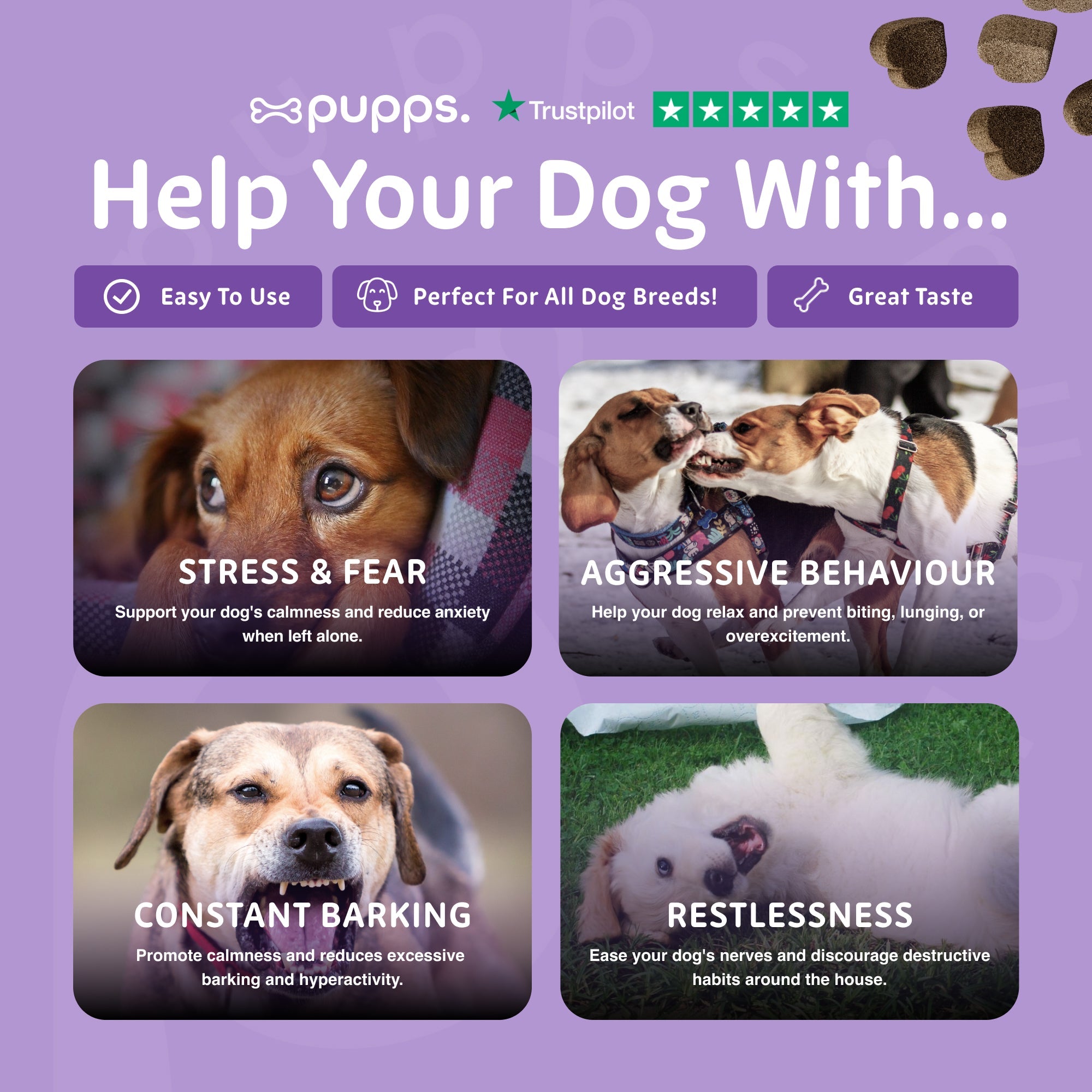 Calming Treats