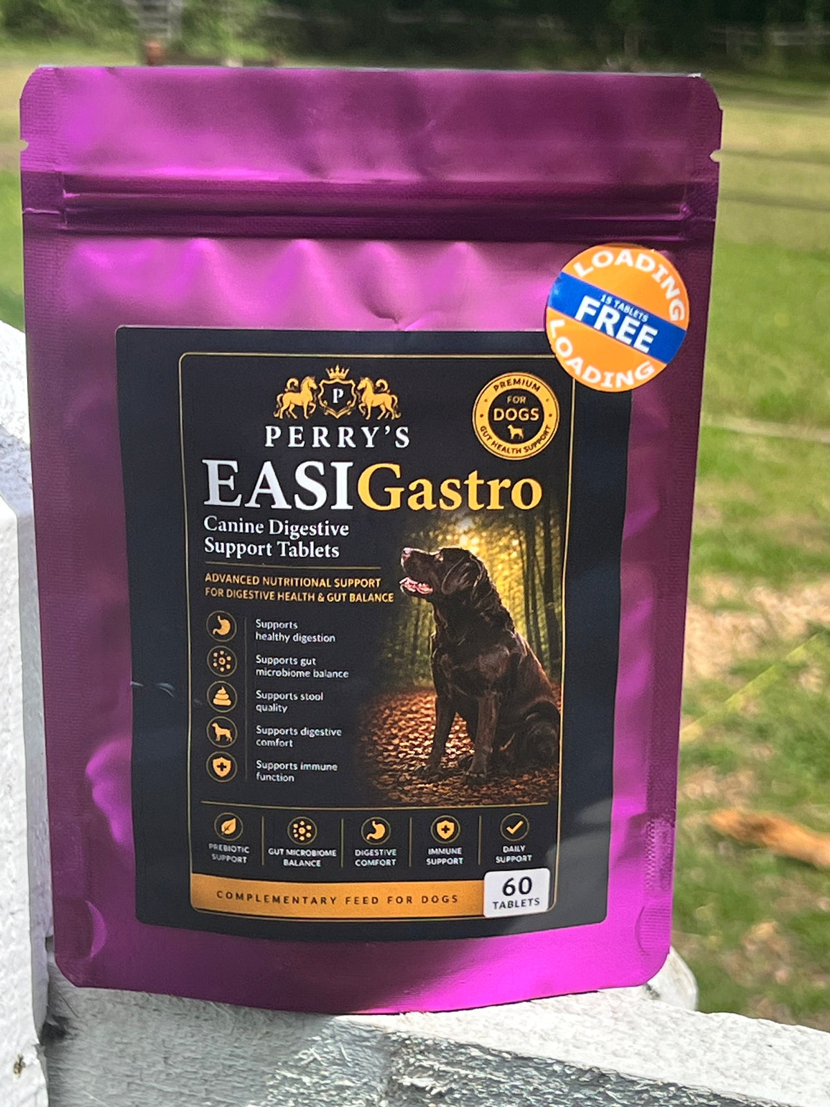 EASIGastro Canine Digestive Support Tablets