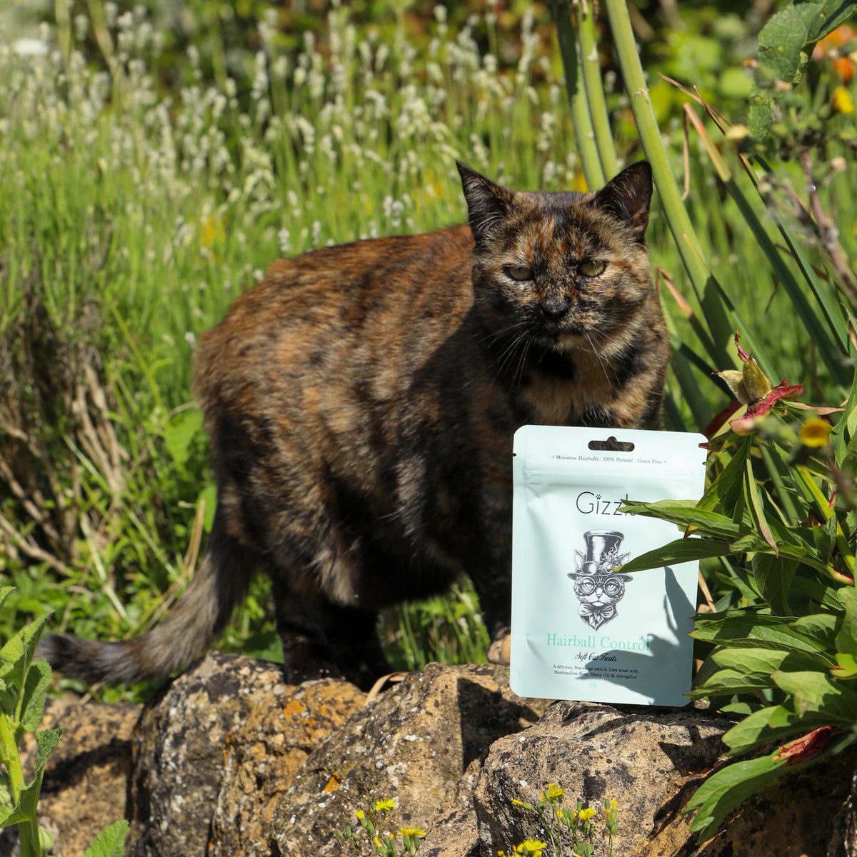Hairball Control Soft Cat Treats