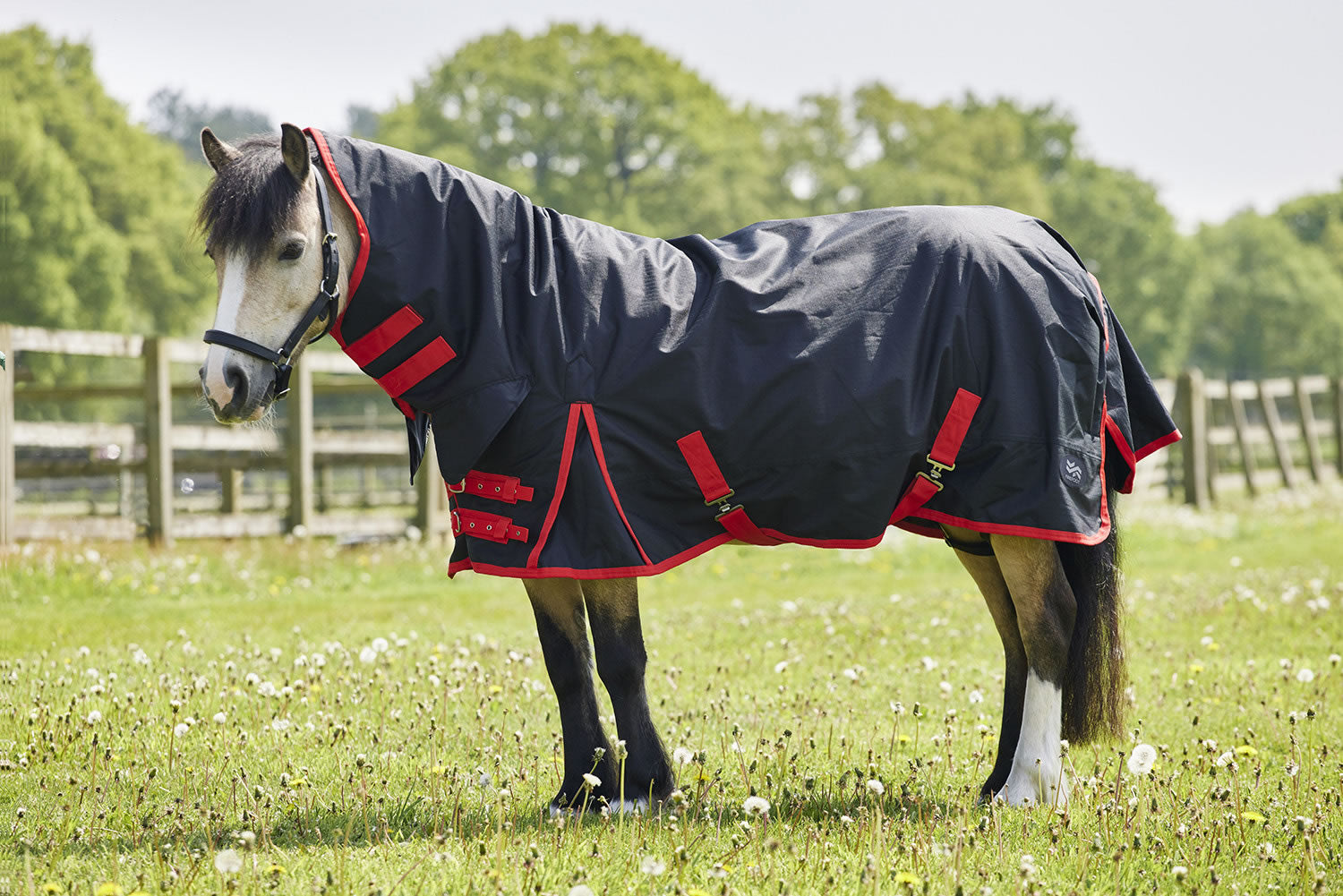 Firefoot Pony Rug Fixed Neck 100g Black/red