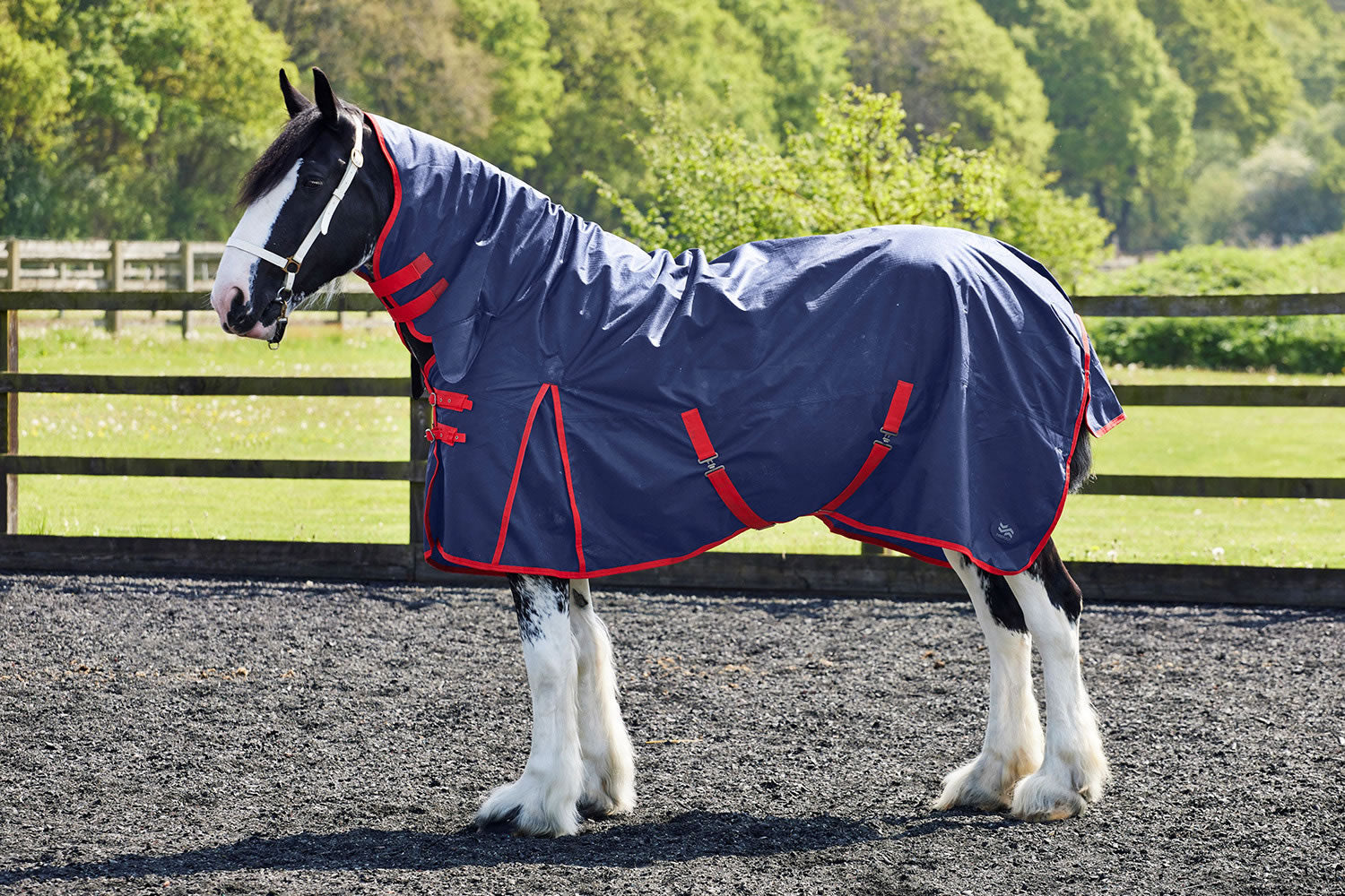Firefoot Turnout Rug Fixed Neck 100g Navy/red