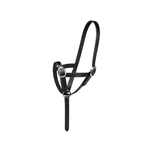 Firefoot Foal Slip Leather