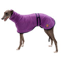 Firefoot Sighthound Fleece Jumper Purple