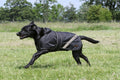 Firefoot Waterproof 2-in-1 Dog Coat Reflective Black