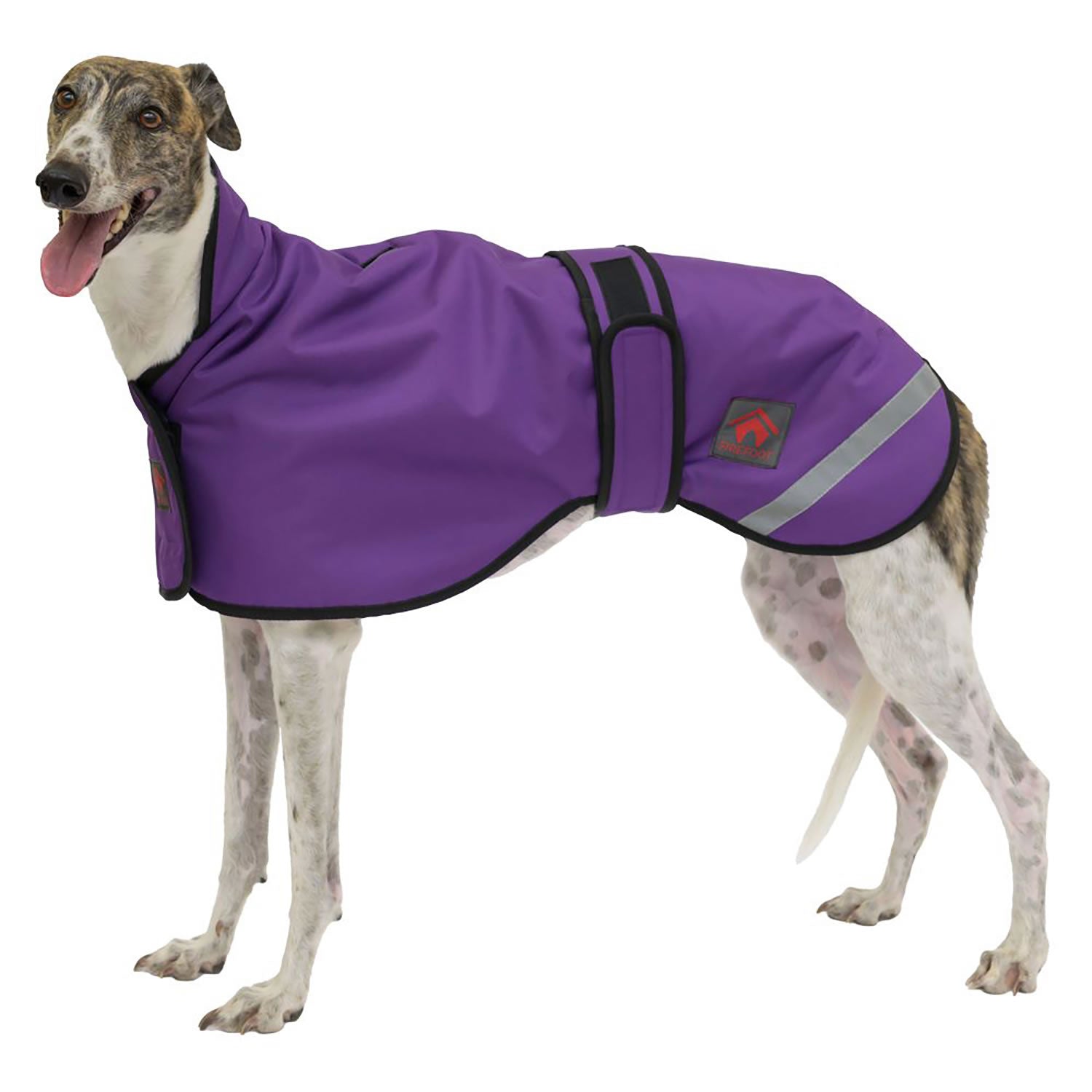 Firefoot Outdoor Sighthound Coat with Fleecy Lining Purple