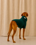 Extra Large British Wool Dog Jumper