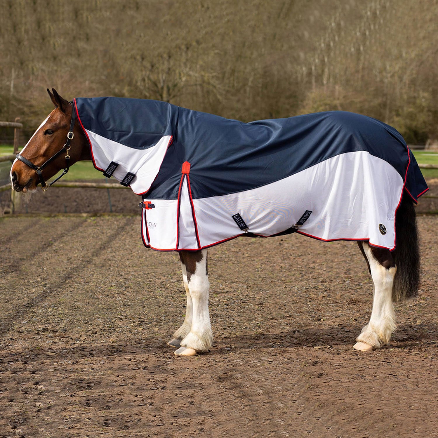 Gallop Ponie Turnout Fly Rug Combo Navy