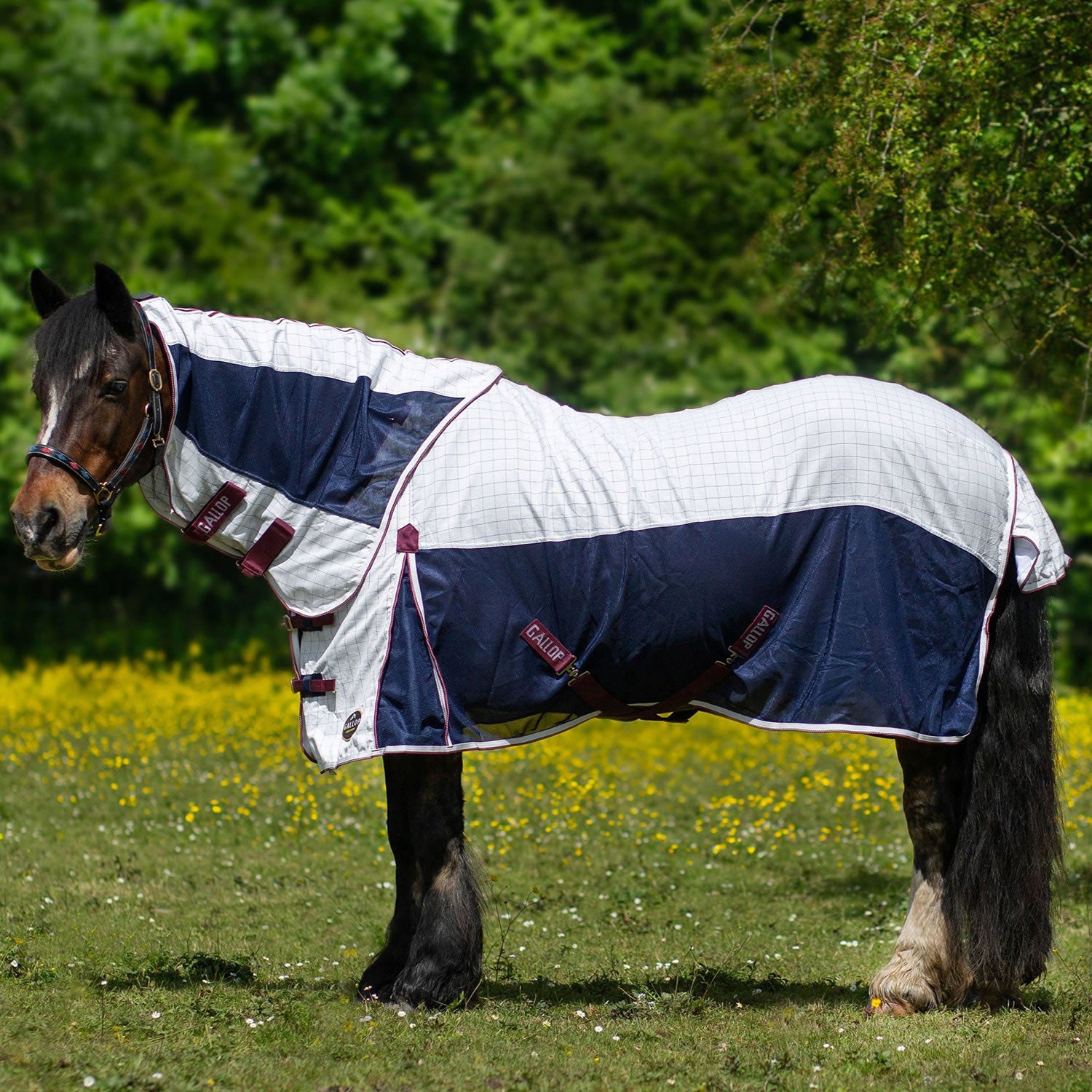 Gallop Air Mesh Detachable Cooler White
