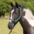 Gallop Headcollar & Lead Rope Set Green