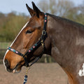 Gallop Diamond Padded Leather Headcollar Pink/aqua