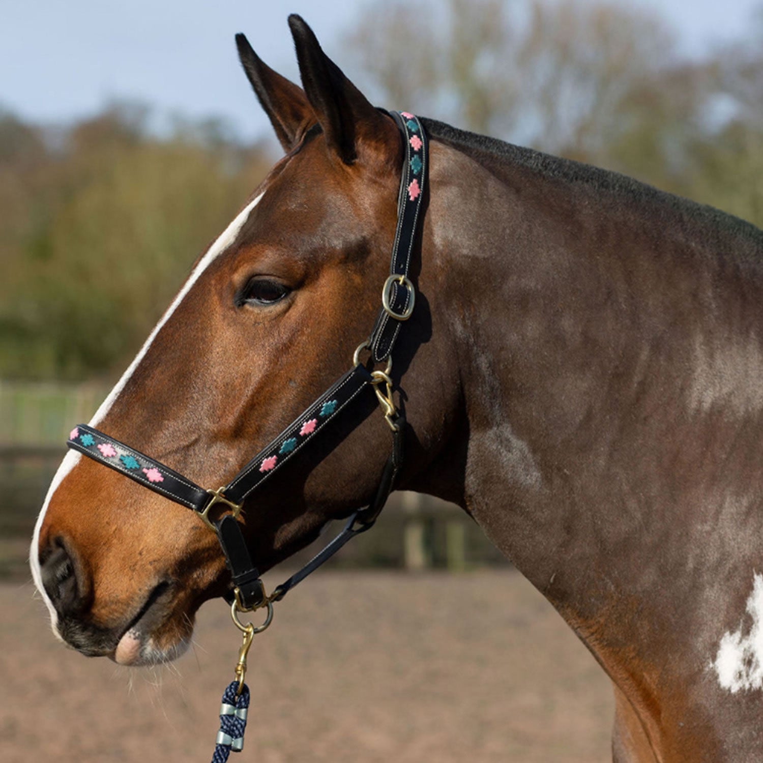 Gallop Diamond Padded Leather Headcollar Pink/aqua