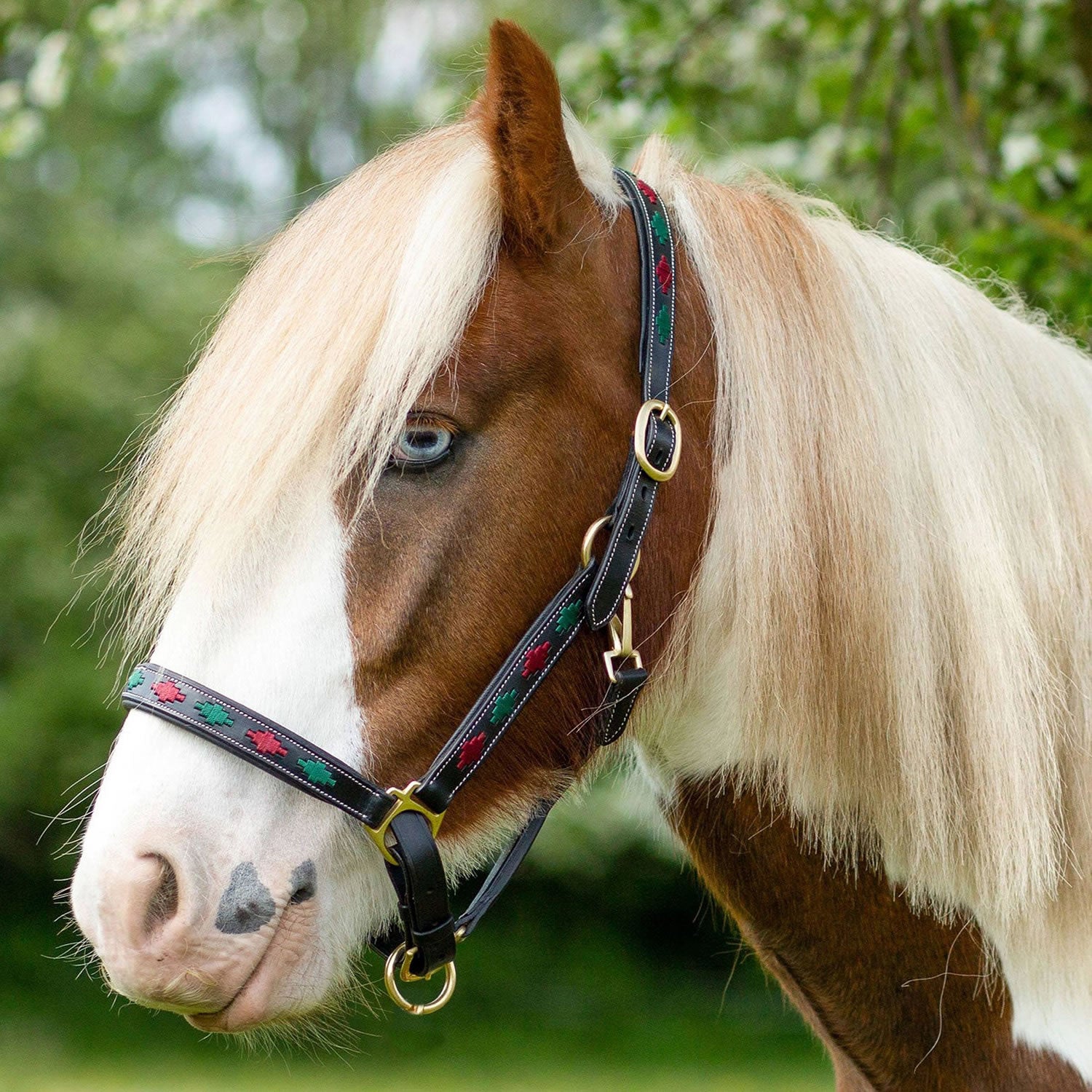 Gallop Diamond Padded Leather Headcollar Burgundy/green