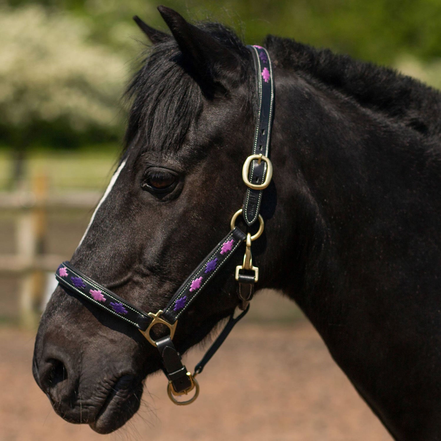 Gallop Diamond Padded Leather Headcollar Purple/lilac
