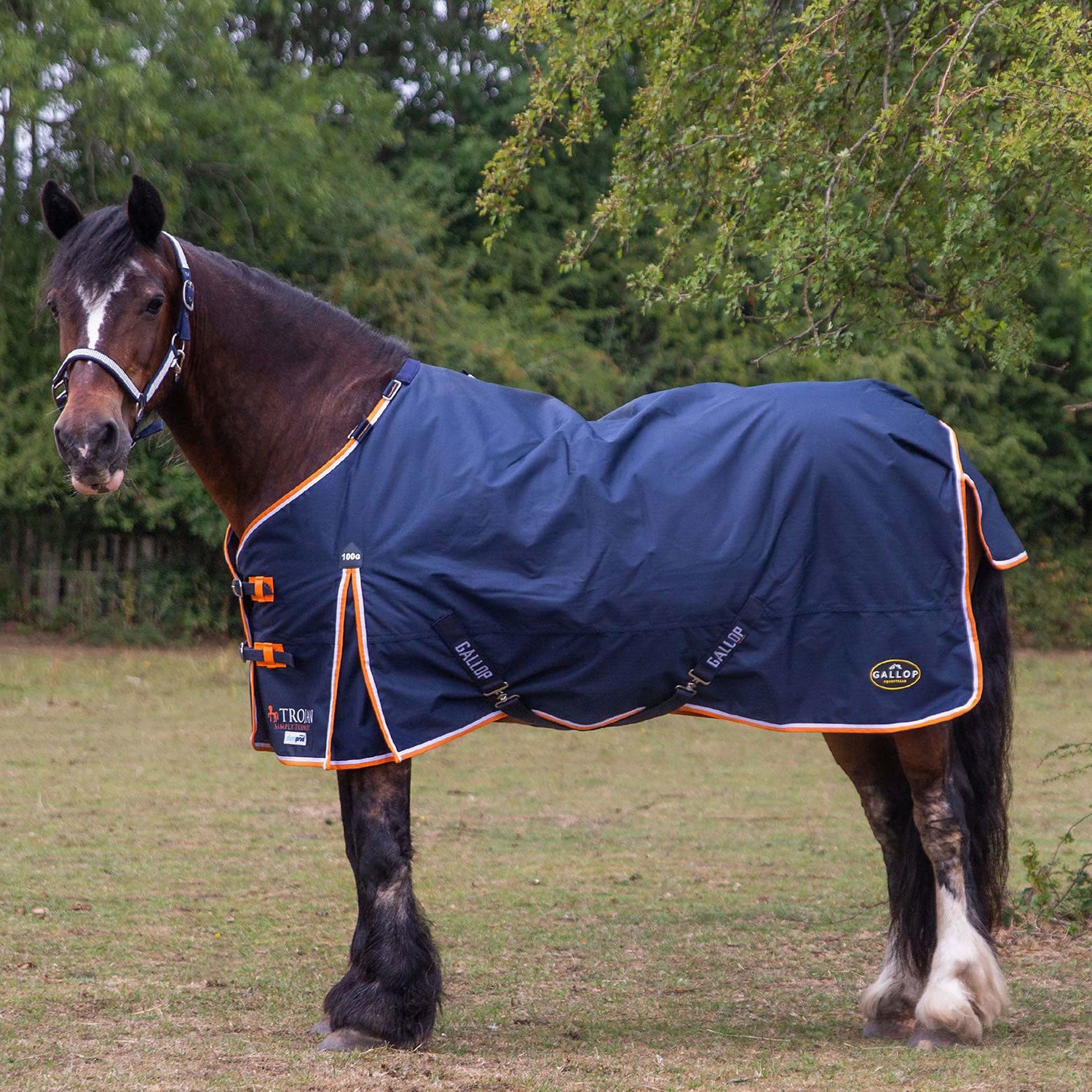 Gallop Trojan Duraproof 100g Turnout Navy