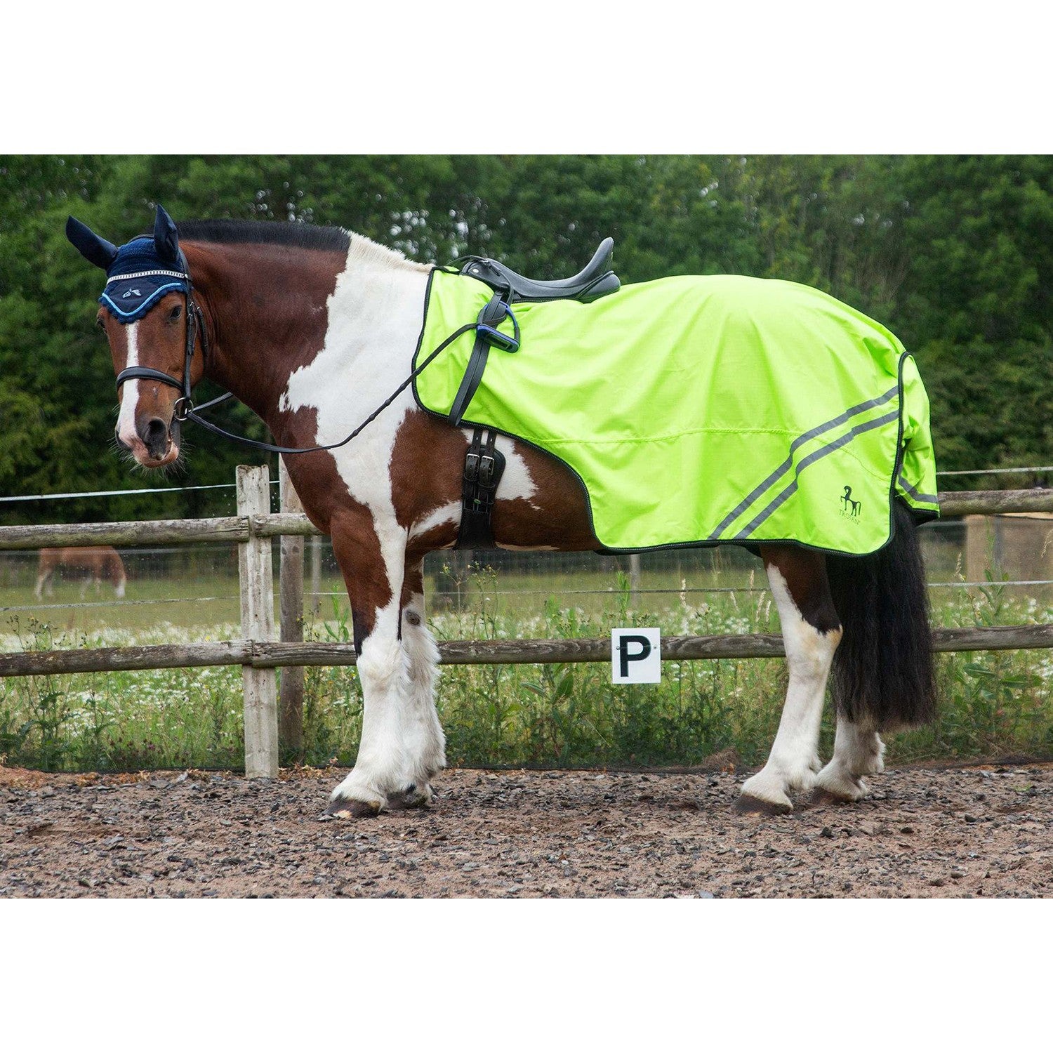 Gallop Trojan Retro W/proof Exercise Sheet Yellow
