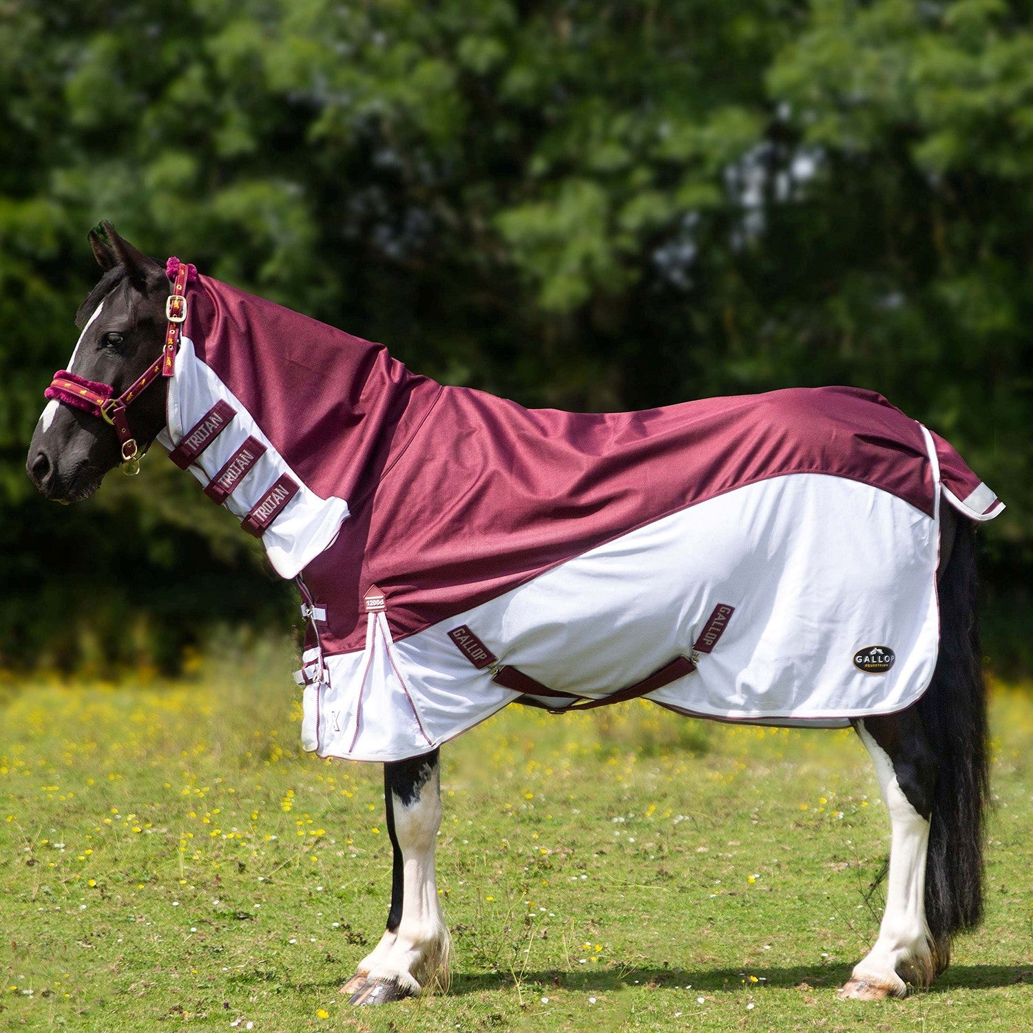 Gallop Trojan Xtra D/proof Hybrid Combo Fly Rug Burg/white
