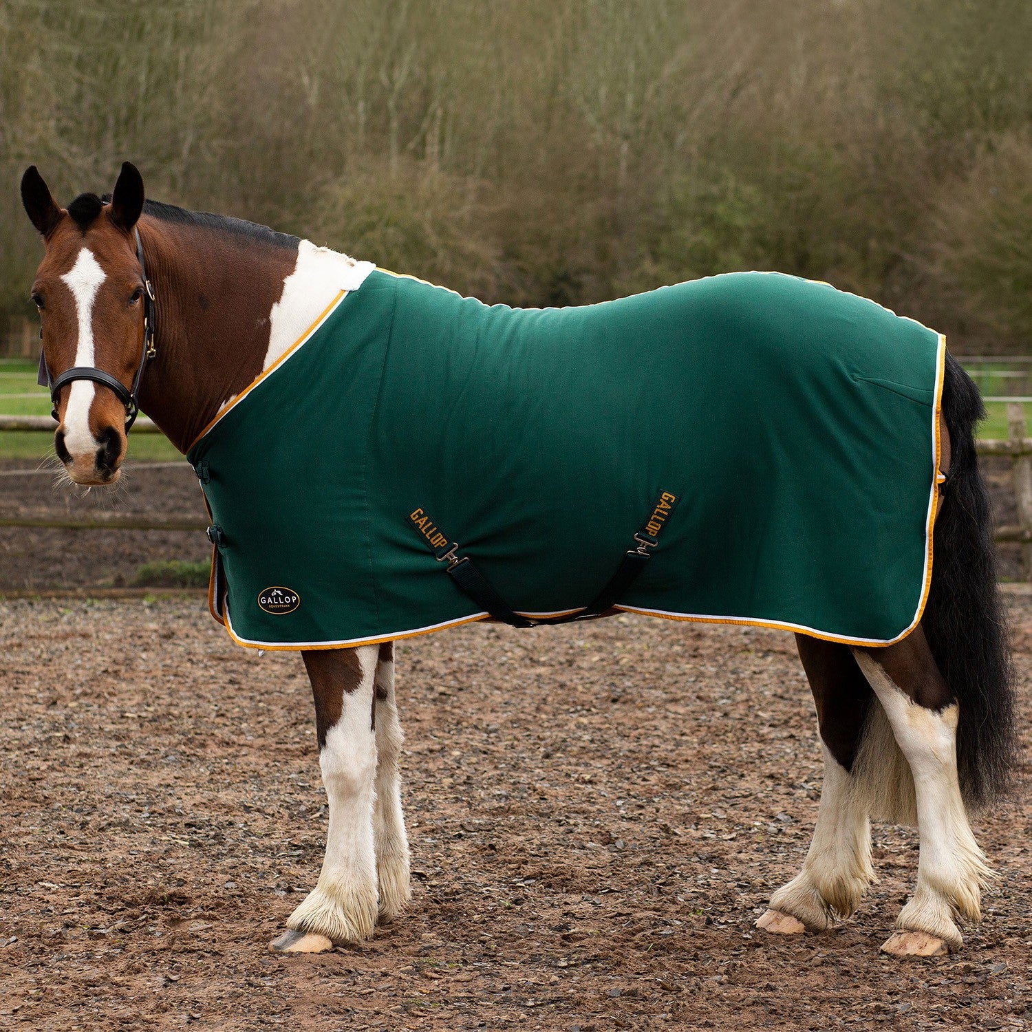 Gallop Ponie Tiddlywinks Jersey Cooler Rug Green/wht/yellow