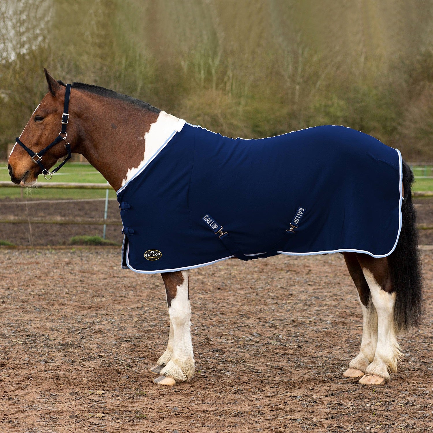 Gallop Ponie Tiddlywinks Jersey Cooler Rug Navy/white/sky