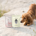 Calming Treat Bundle for Small Dogs