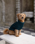 Forest Green British Wool Dog Jumper