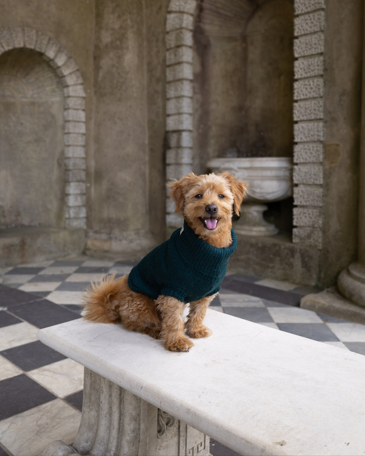 Forest Green British Wool Dog Jumper