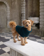 Forest Green British Wool Dog Jumper