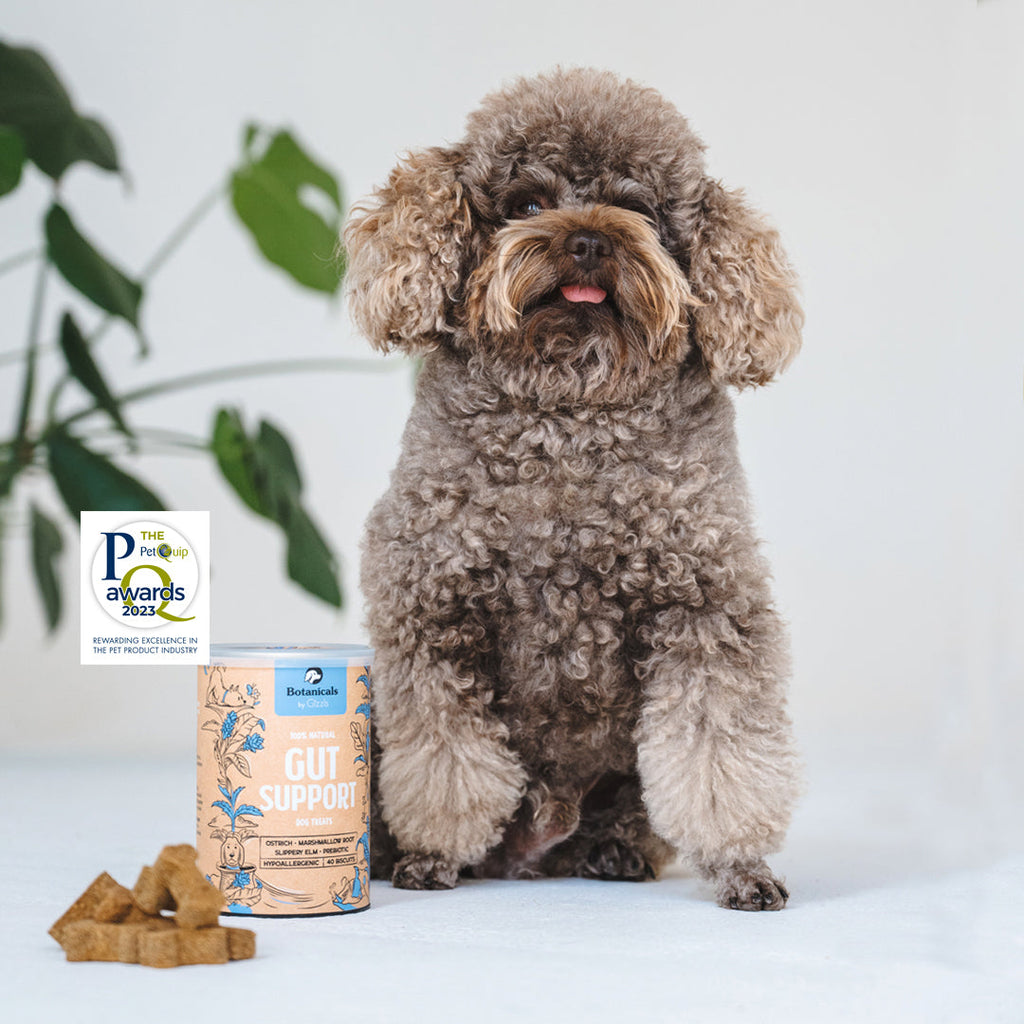 Gut Support Dog Treats