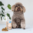 Gut Support Dog Treats