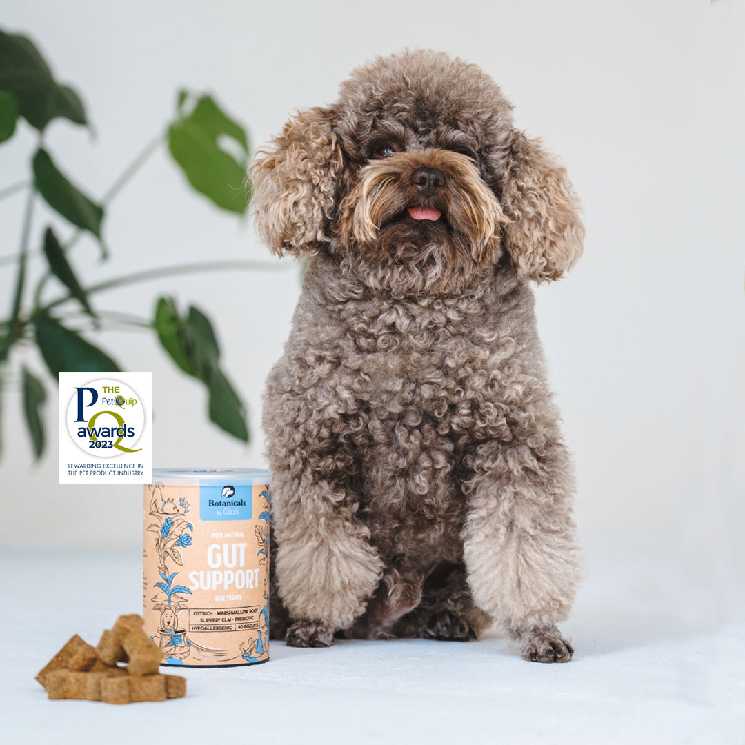Gut Support Dog Treats