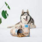 Gut Support Dog Treats