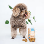 Gut Support Dog Treats