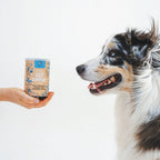 Gut Support Dog Treats