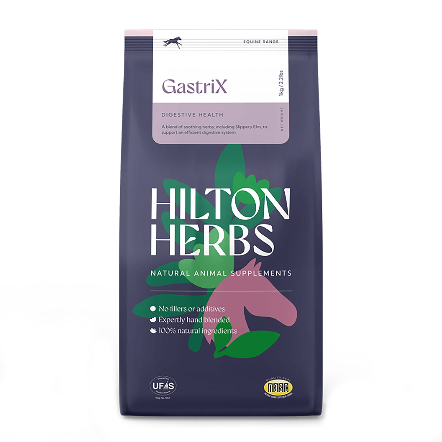 Hilton Herbs Gastri X