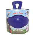 Jolly Pets Dual Jolly Ball Purple