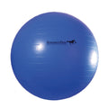 Horsemen's Pride Jolly Mega Ball Blue