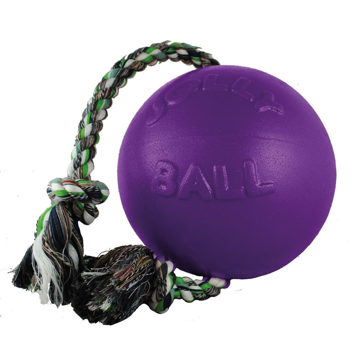 Jolly Pets Romp-n-roll Purple