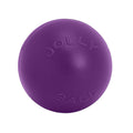 Jolly Pets Push-n-play Purple