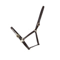 Hy Equestrian Leather Foal Headcollar Brown