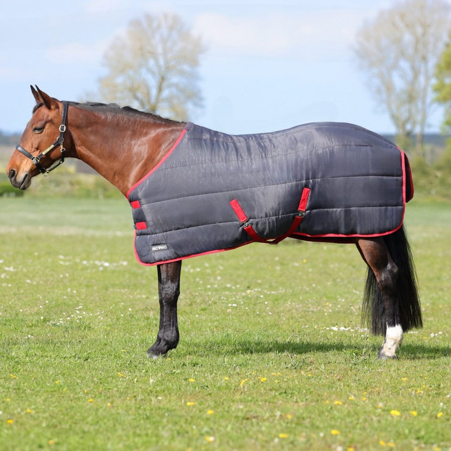 Hyconic 250g Stable Rug Charcoal/red