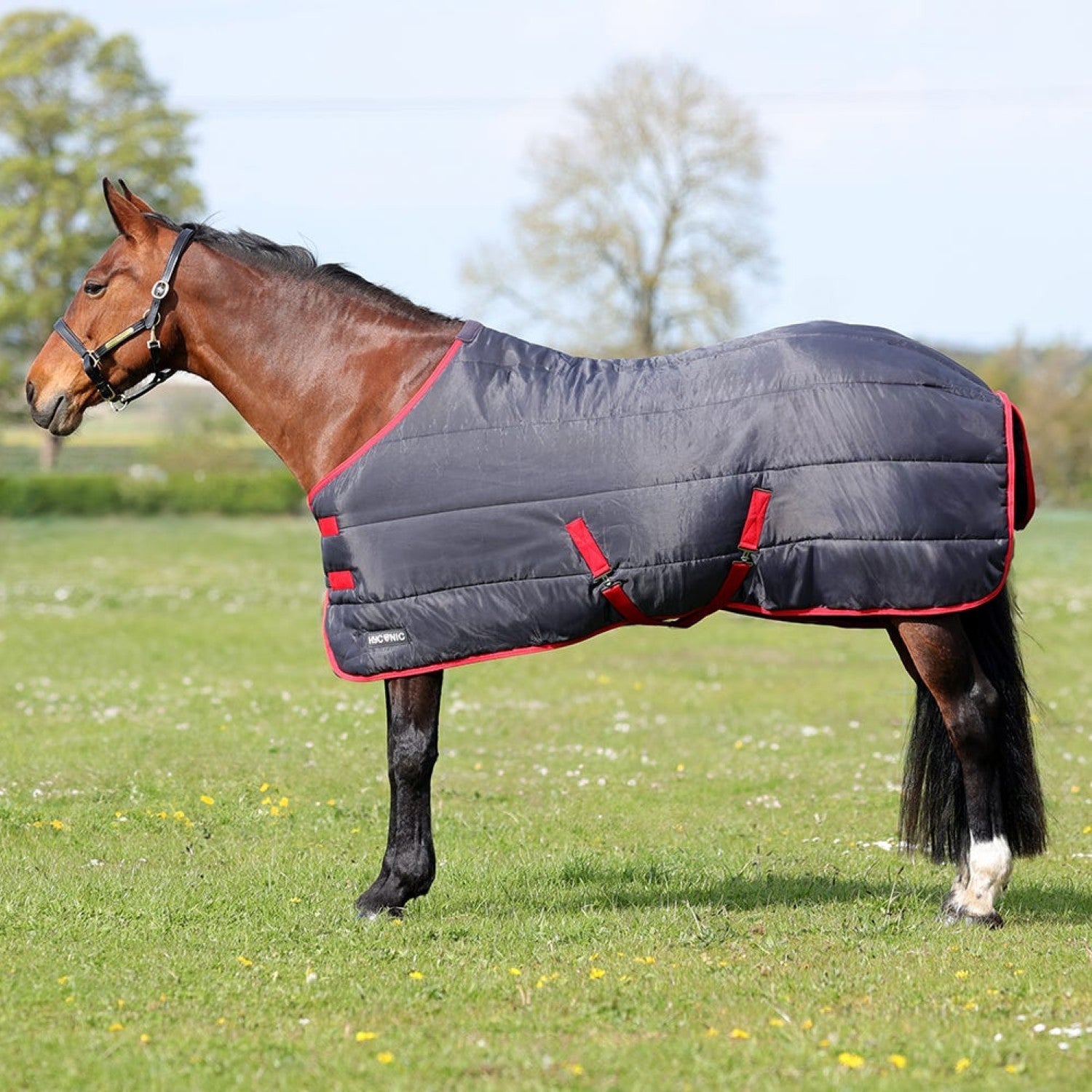 Hyconic 100g Stable Rug Charcoal/red