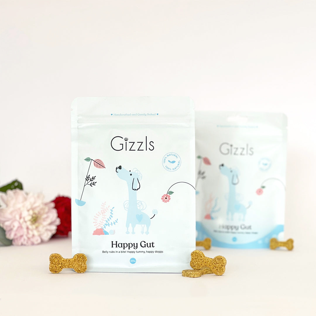 Happy Gut Big Dog Treats (200g)