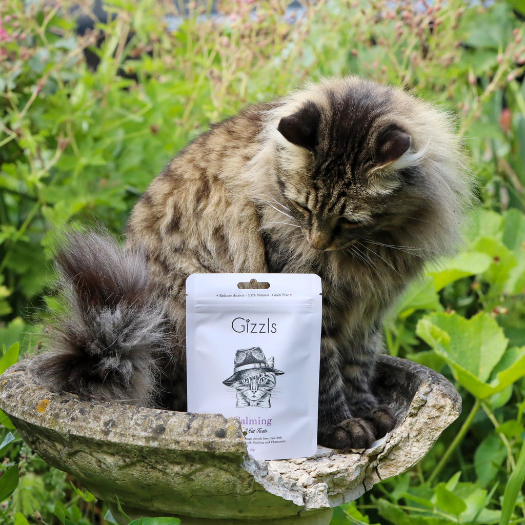 Calming Soft Cat Treats