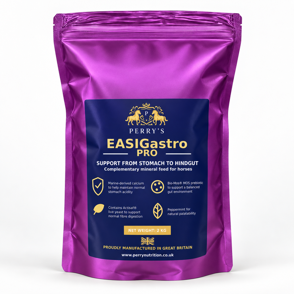 EASIGASTRO Pro