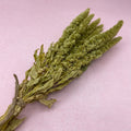 Green Amaranth Sprays