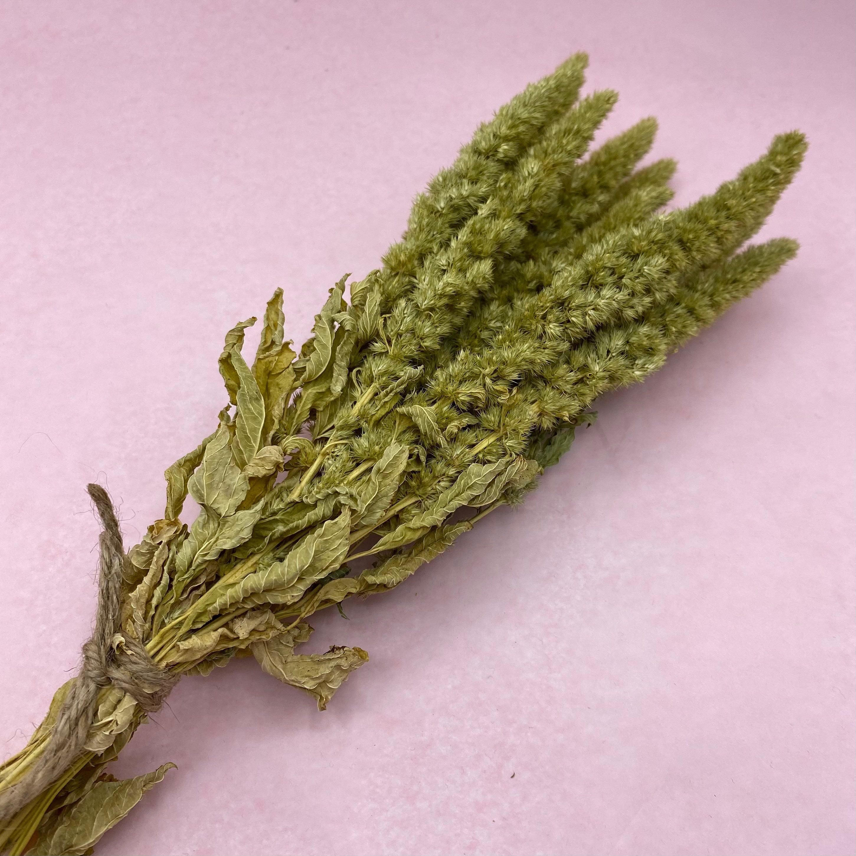 Green Amaranth Sprays
