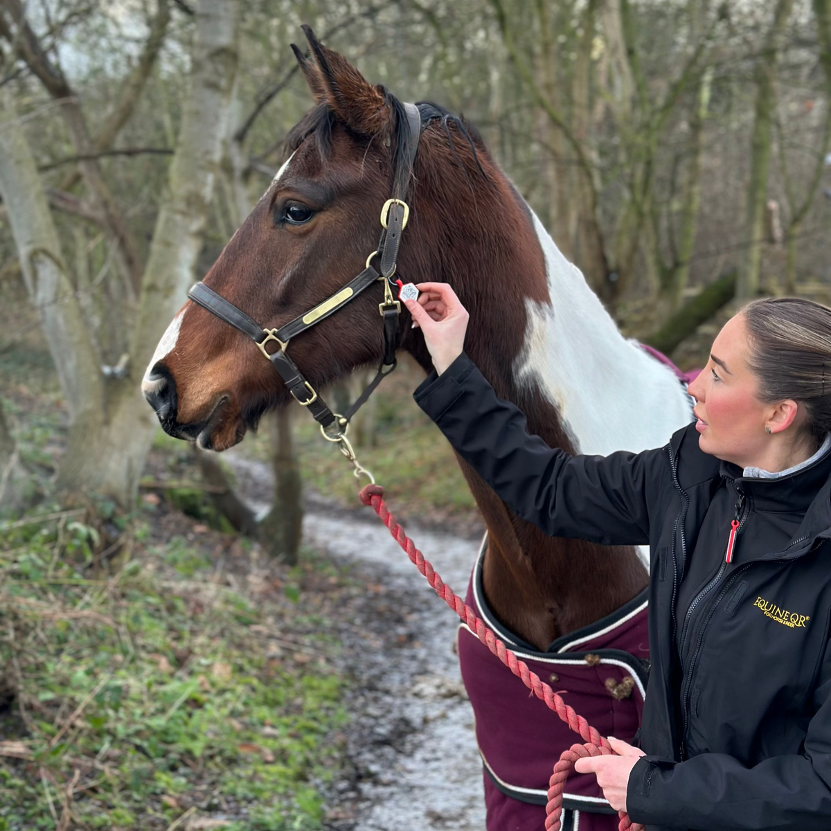 Equine Emergency Tags