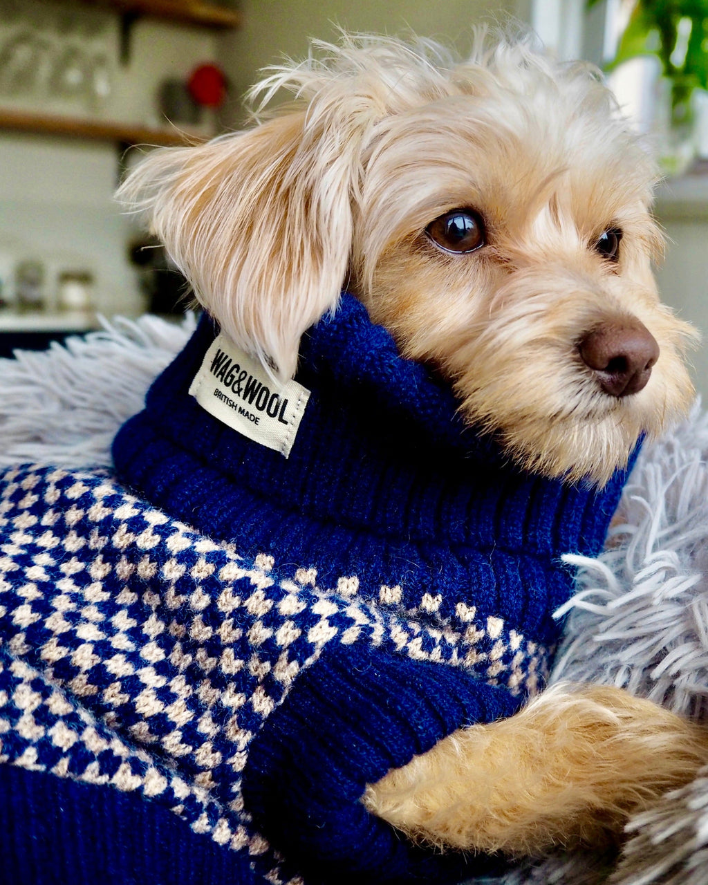 Navy Dog Jumper In Merino Lambswool