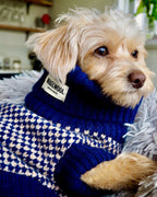 Navy Dog Jumper In Merino Lambswool