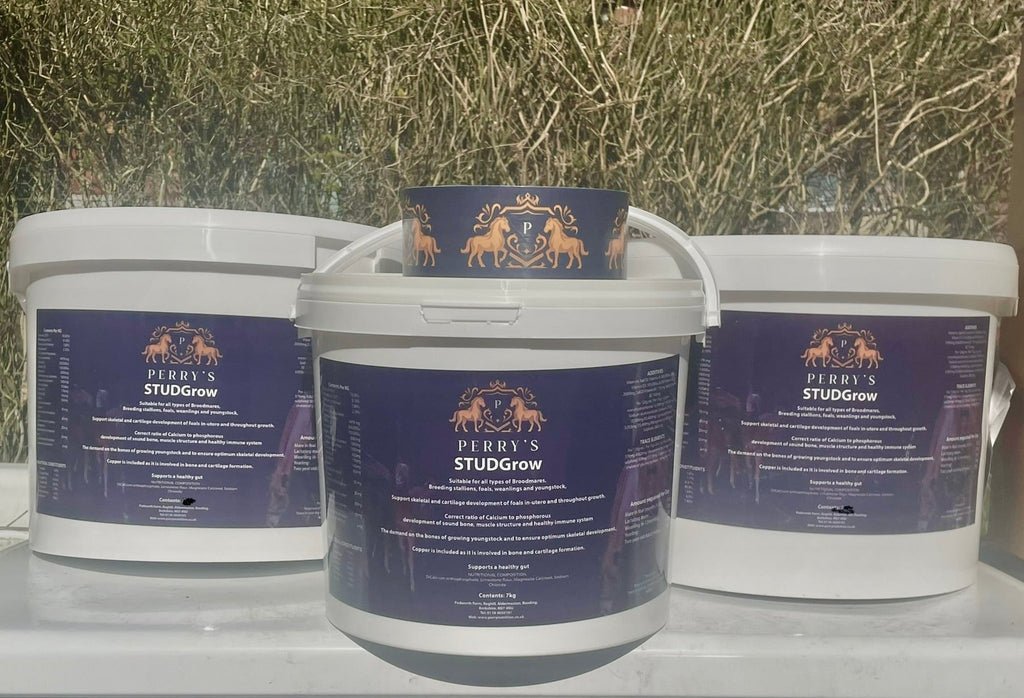 STUDGrow™ Advanced Breeding & Youngstock Support 15kgs
