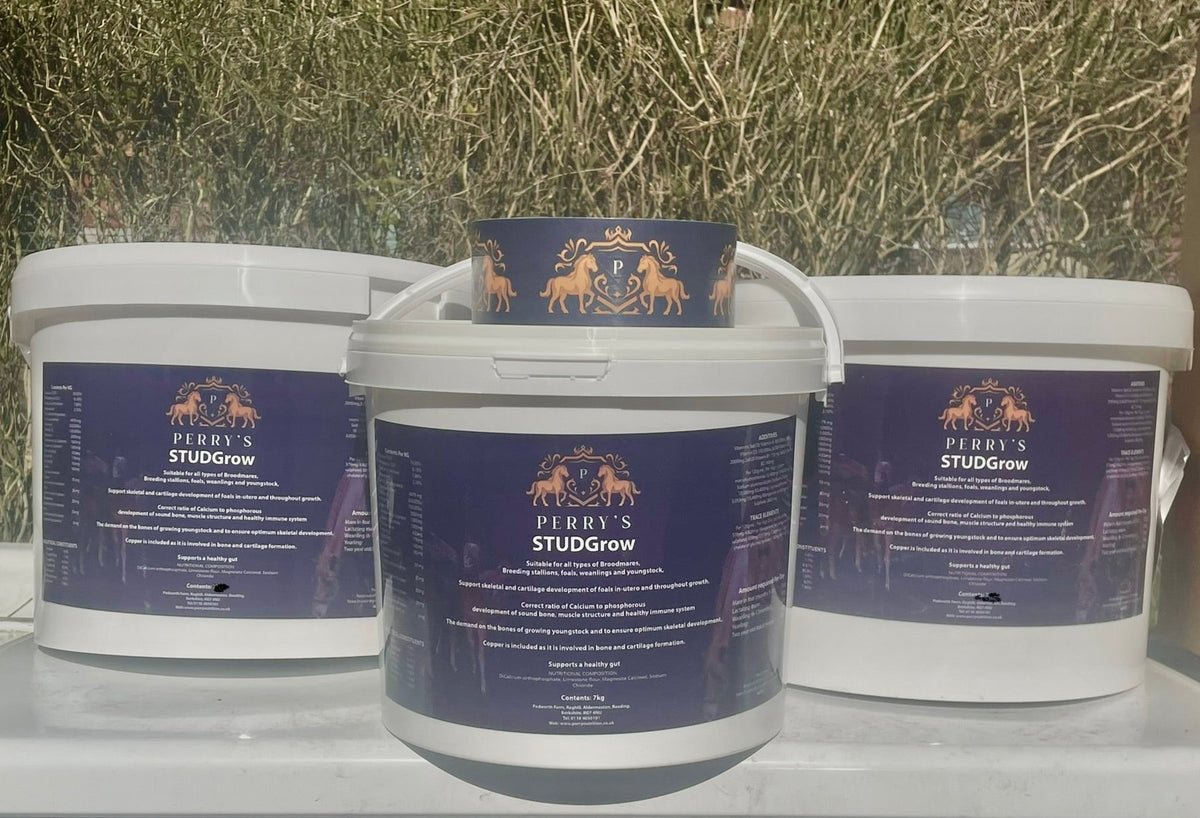 STUDGrow™ Advanced Breeding & Youngstock Support 15kgs